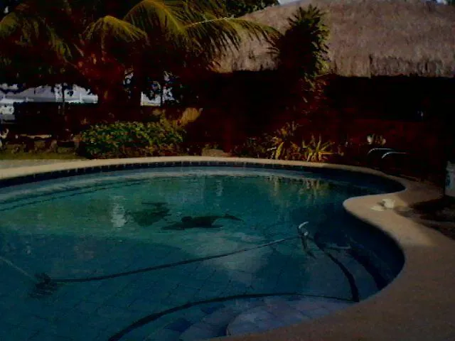 Bita-Ug Beach Resort Panglao
